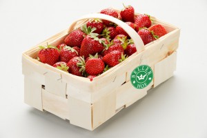 Erdbeeren vom Beller Hof